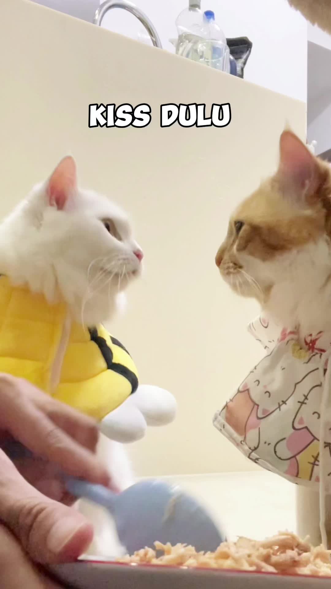 @nekokeikochan