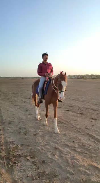 @ajaysinh_80121