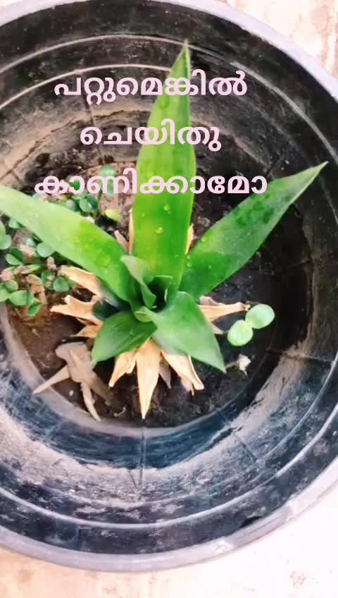 @പത്തനംതിട്ട എന്റെ നാട്