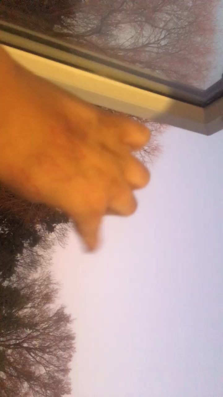 @jamieishappy