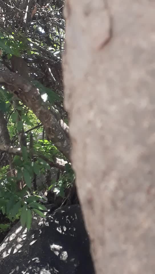 @Vinod Appu