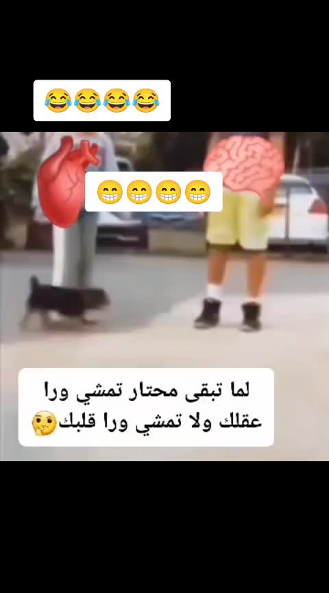 @Fatma 🇩🇿❤️🇵🇸