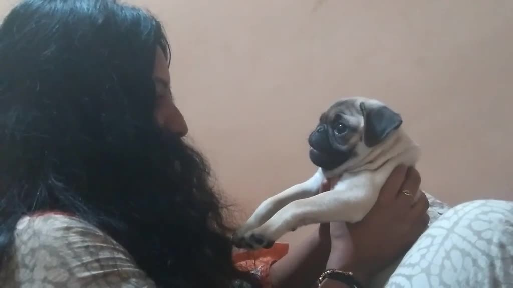 @Anagha Sivadas
