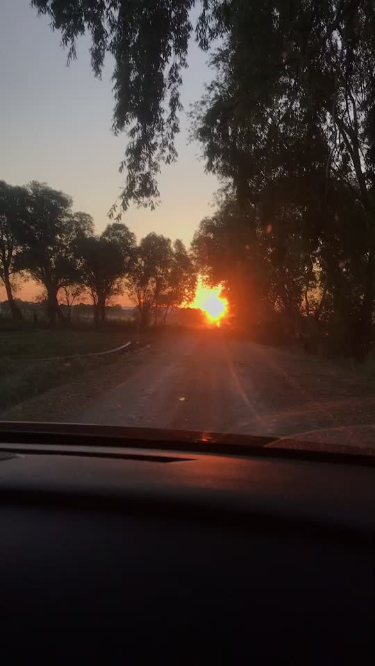 @Eray Sarıçiçek