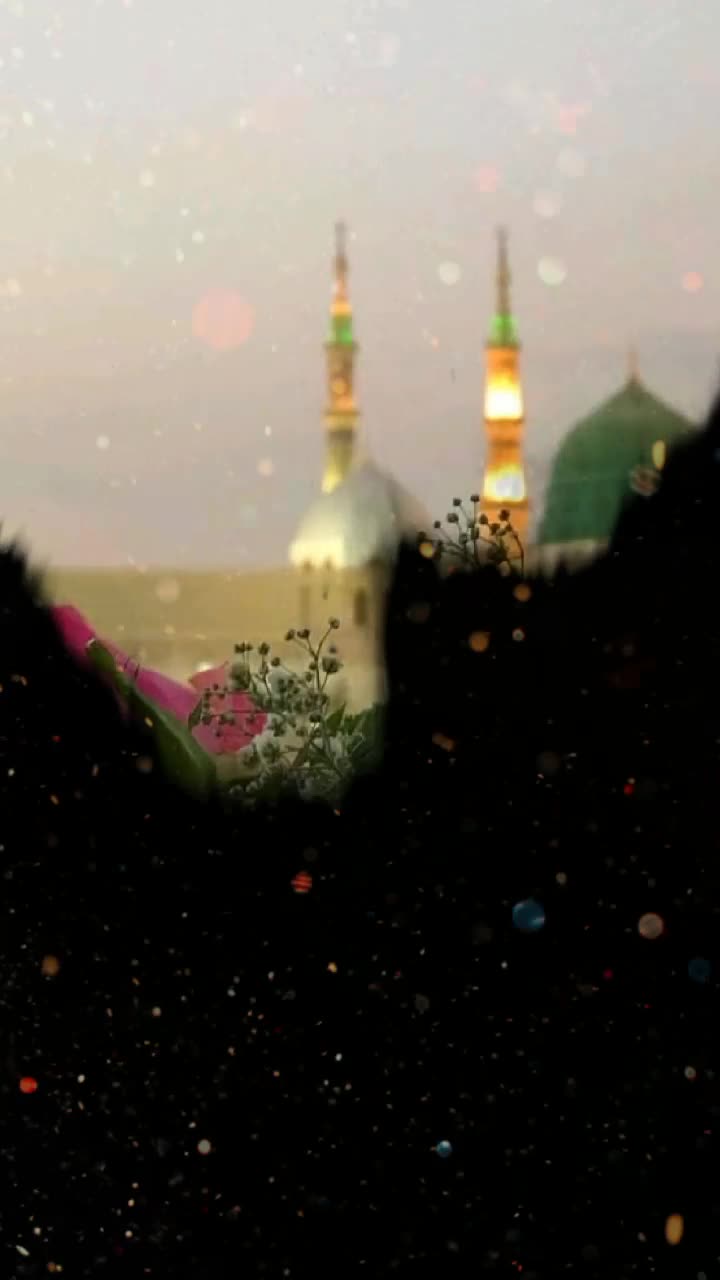 @Promi Ahmed