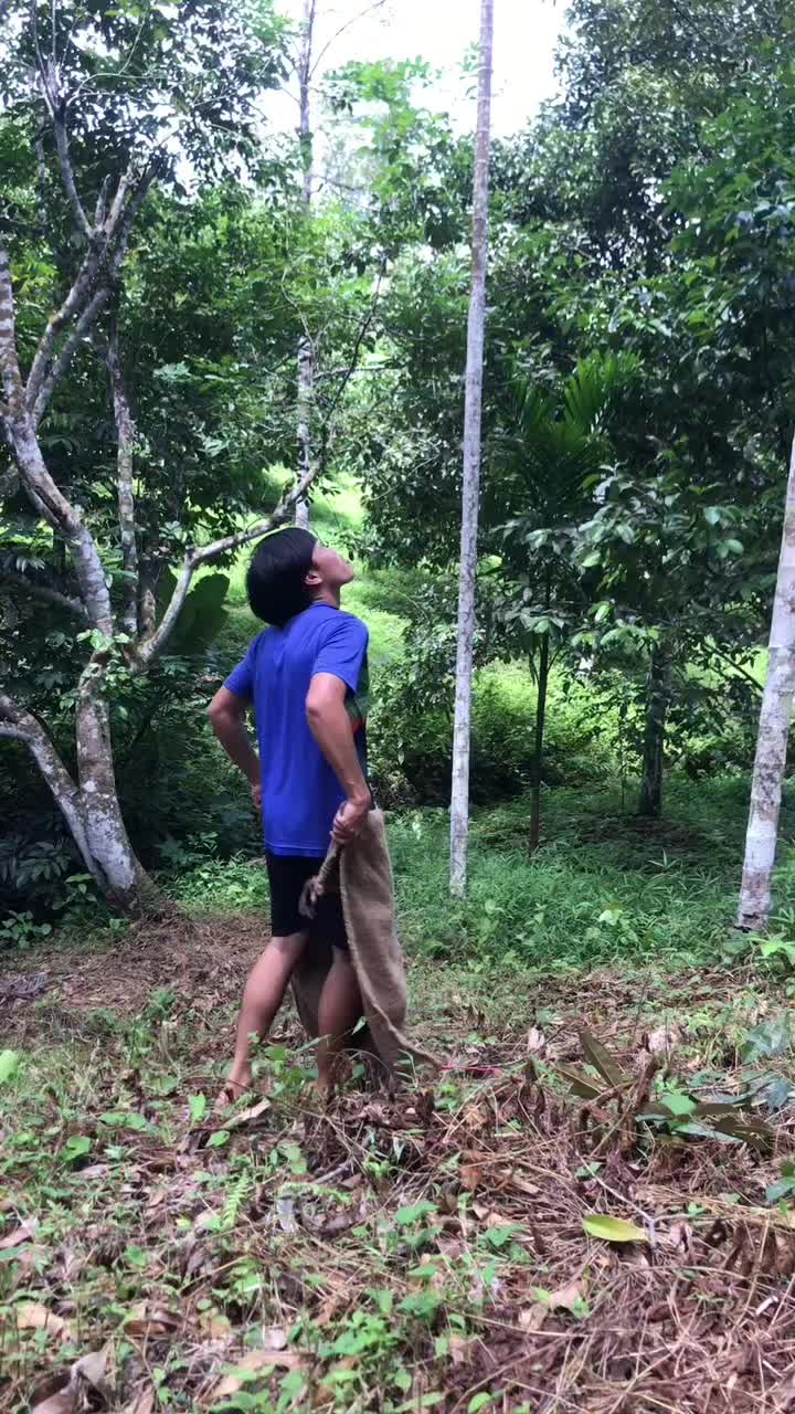 @เเบงค์ ชนะชัย  ଽ🌳🪣🍅