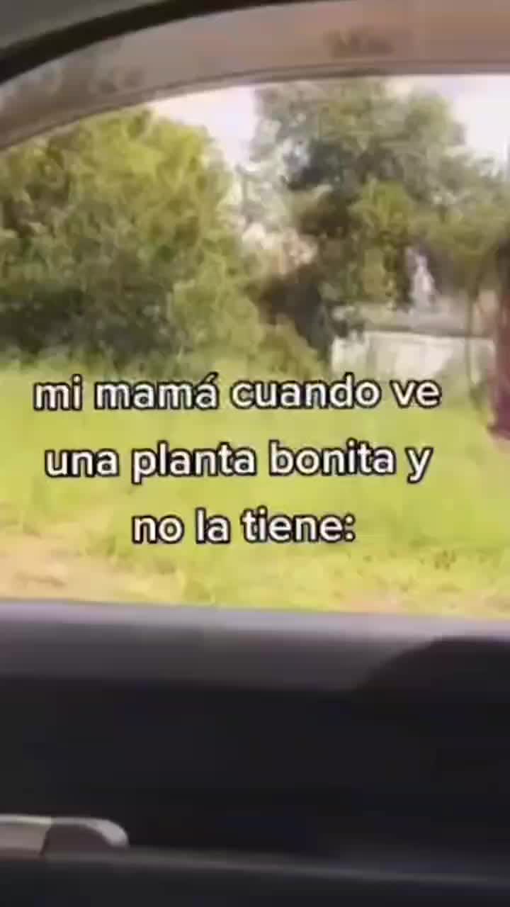 @𝐋𝐚𝐮𝐫𝐚 𝐀𝐫𝐯𝐢𝐳𝐮