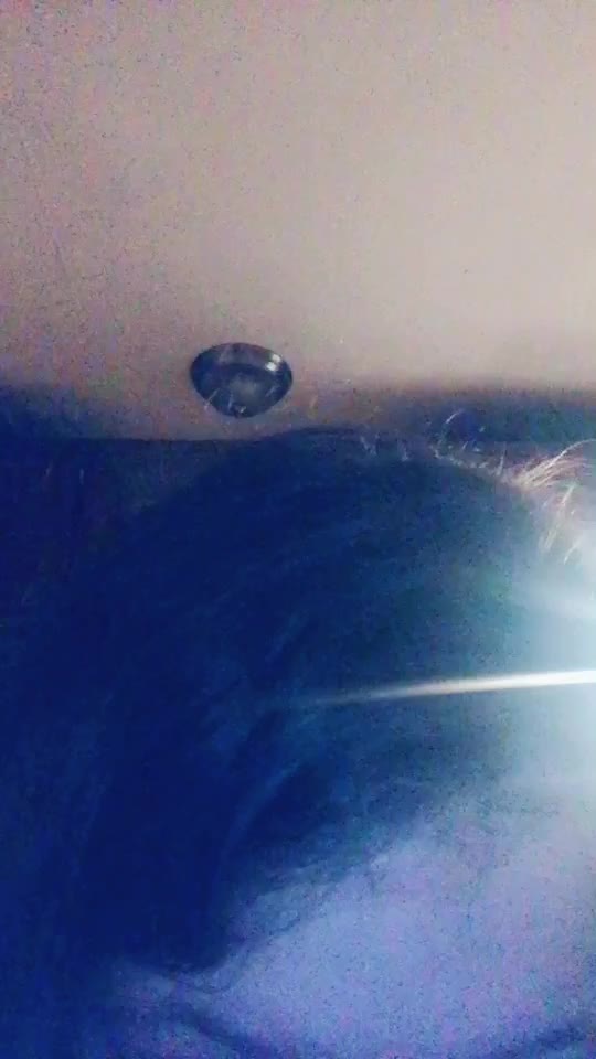 @its_sushiicat