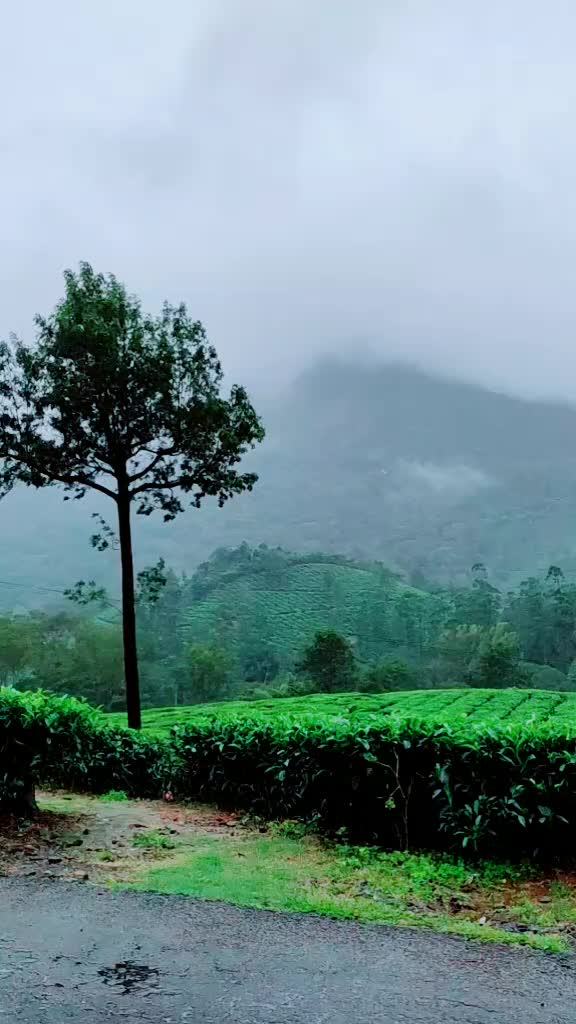 @Ajmal Basheer