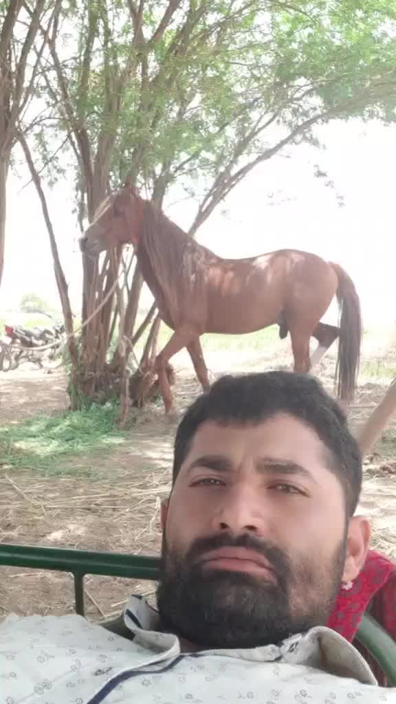 @Dhanrajsinh Bhadiyad