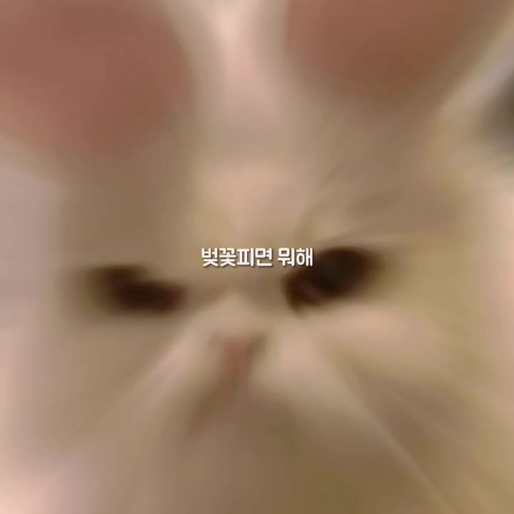 @꺄항!