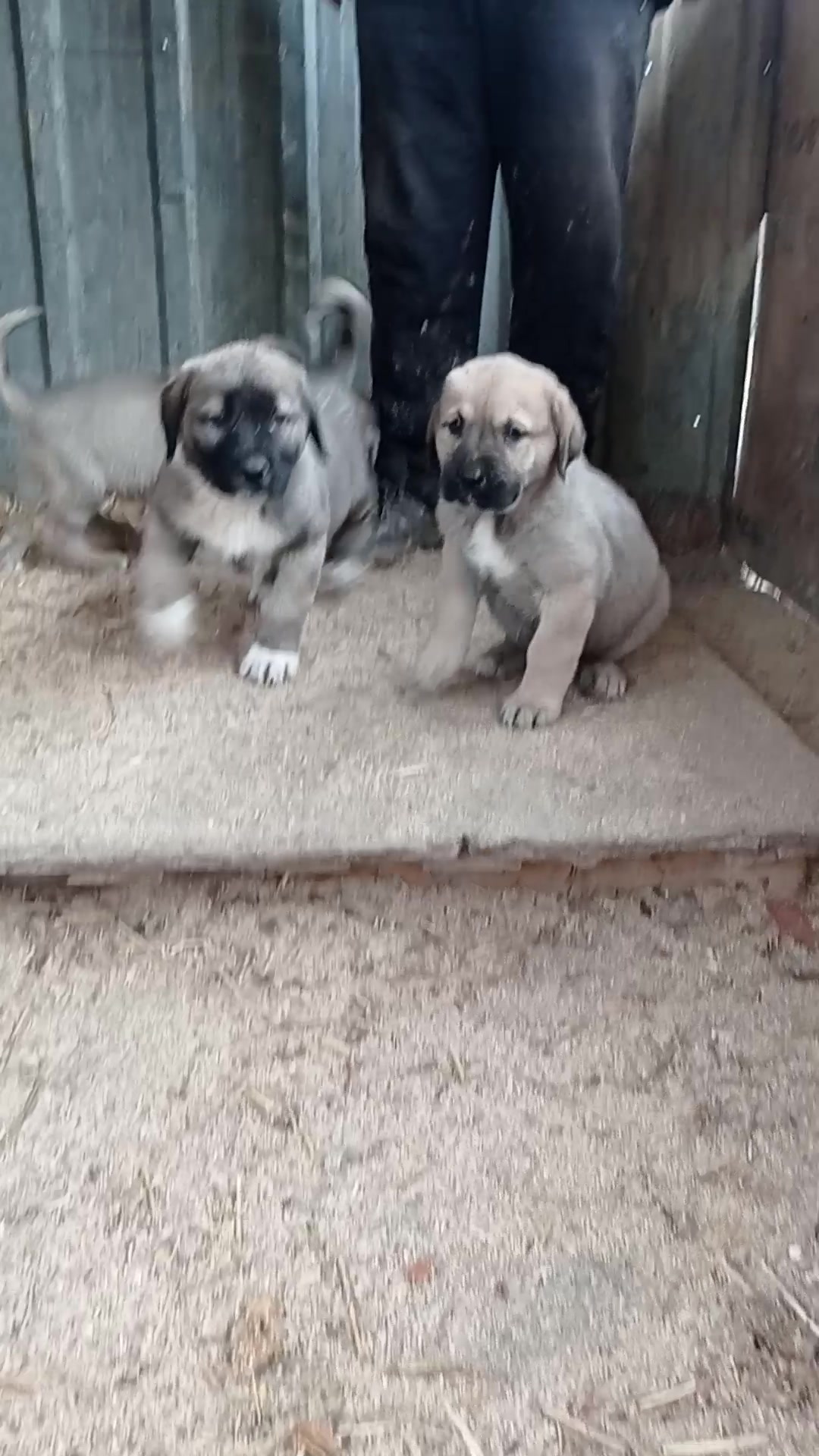 @Hello Bozkır