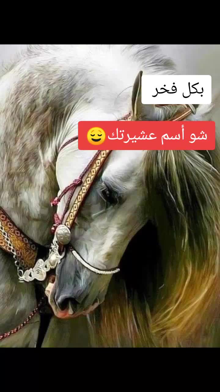 @ﷴ- 505-vpn