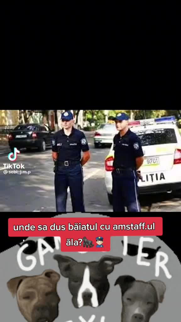 @Alex Halja