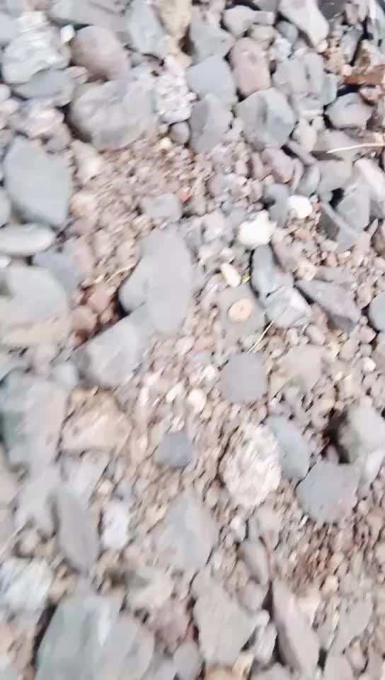 @Dheeraj Kasbe