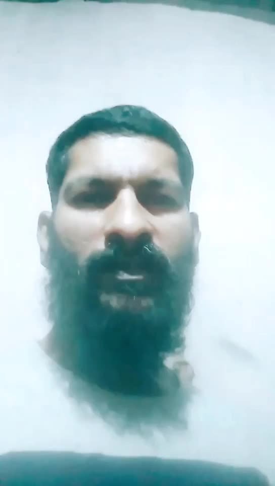 @febishazz