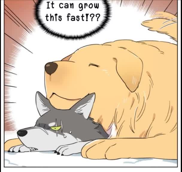 @Jayceeeeee🐱🌖
