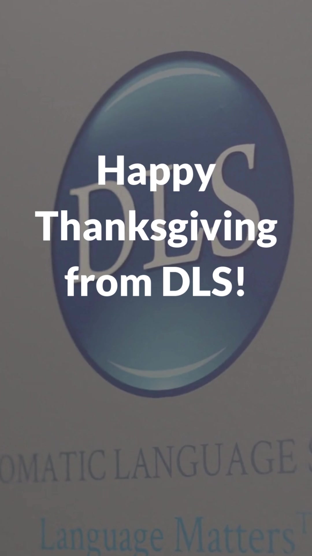 @Diplomatic Language Services
