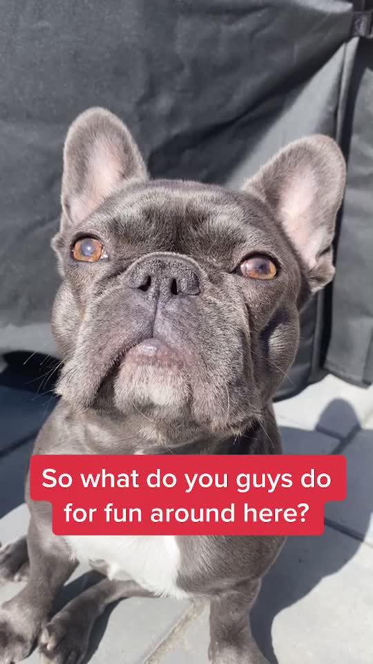 @Bear & Friends
