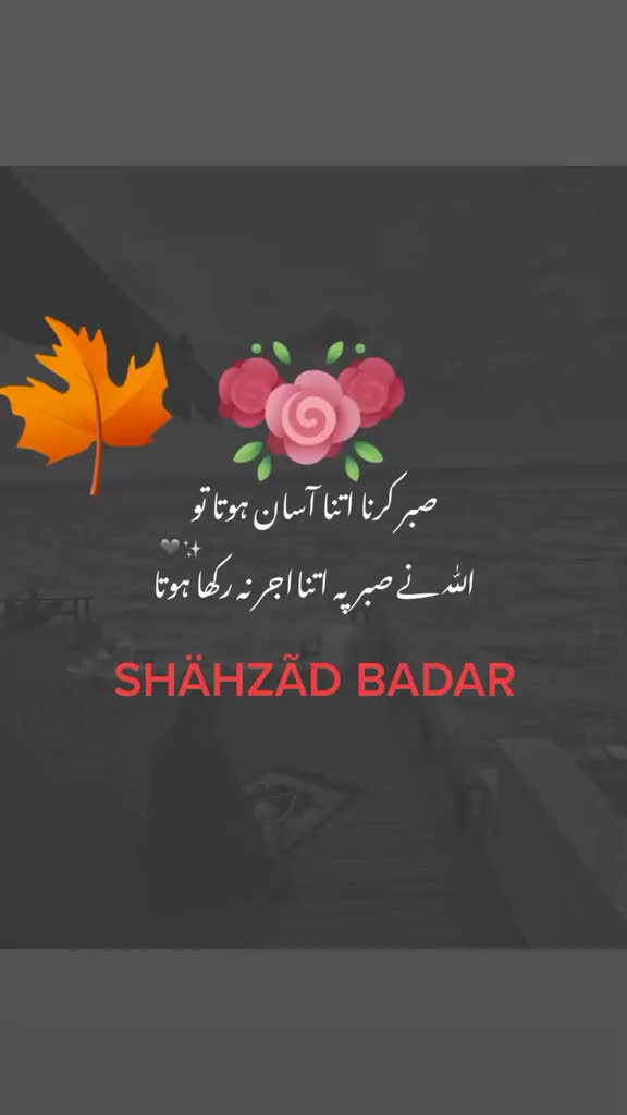 @SHAHZAD MERANI