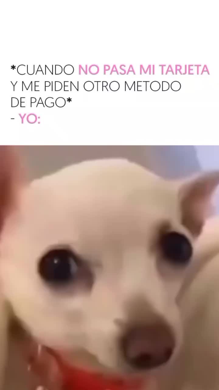 @Alejandra Venegas