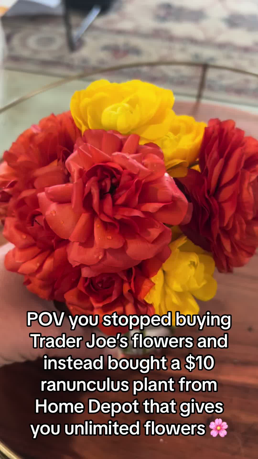 @gardeninginoside
