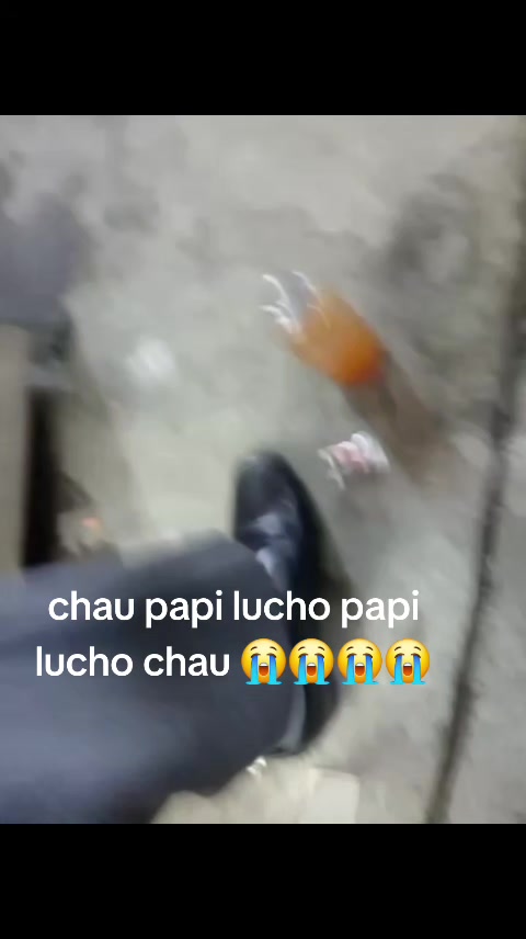 @mauro😇😇