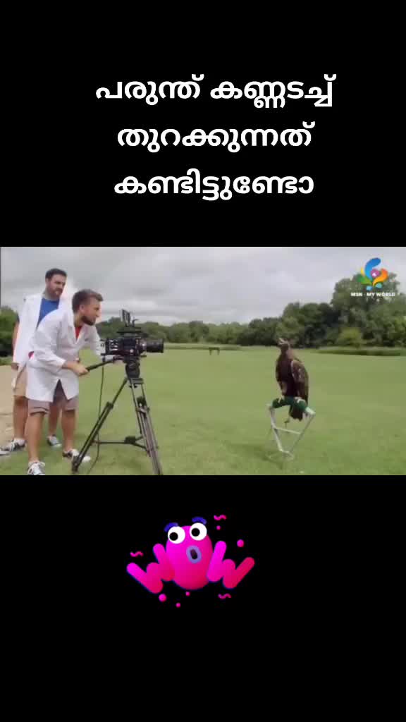 @ANoozz
