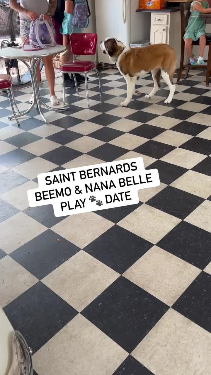 @RV Retirees at Play