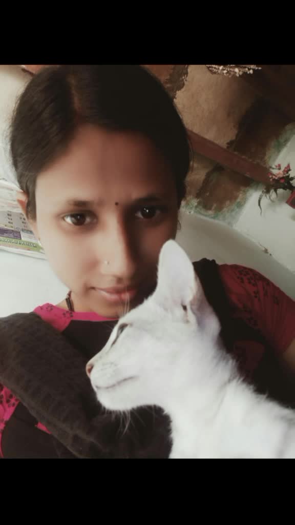 @mallu situ