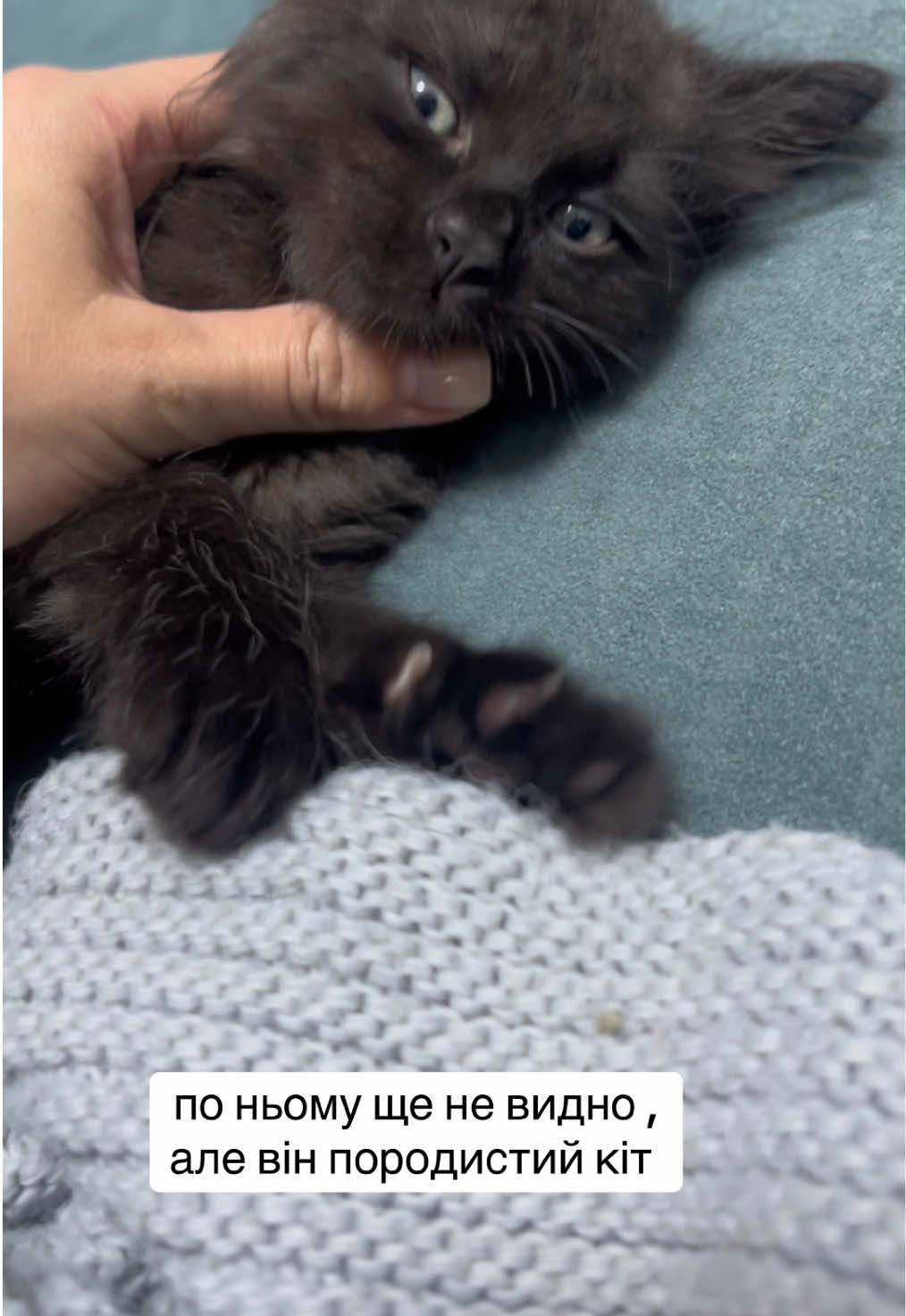 @Олена Номеровська
