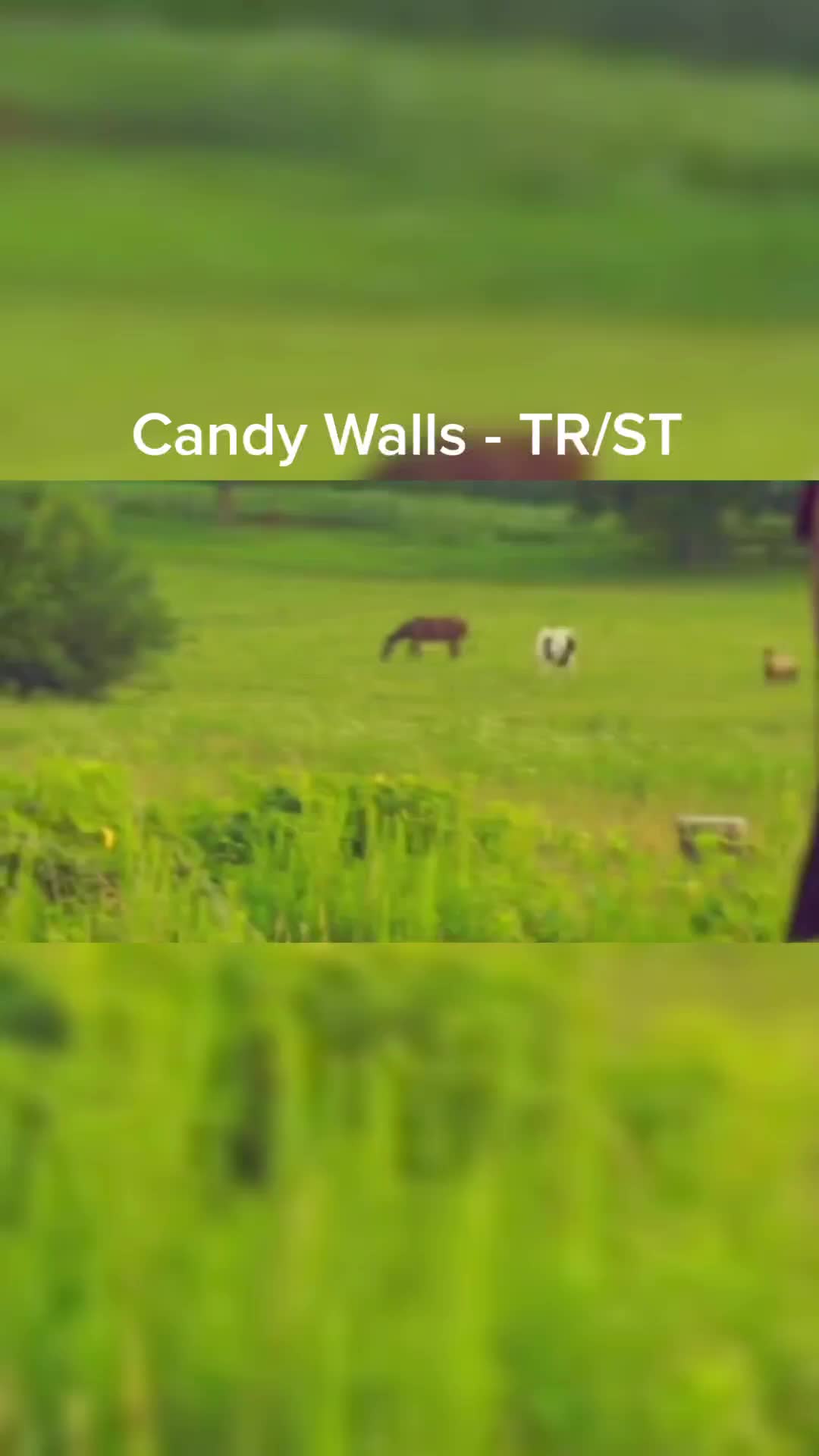@we love TR/ST