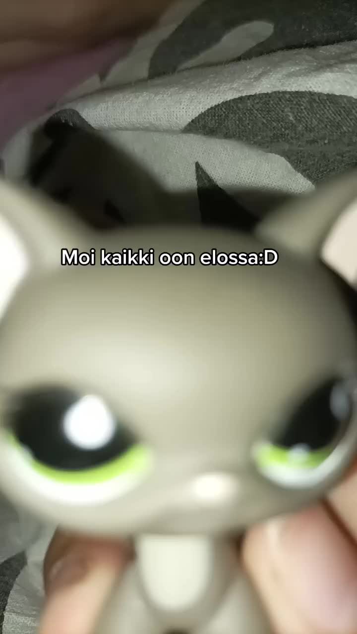 @🌟lps nakki🌟