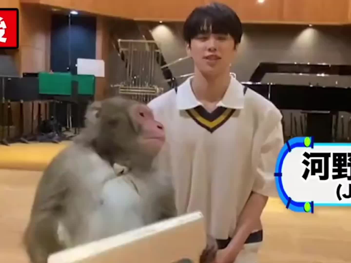@K5🦒🤎