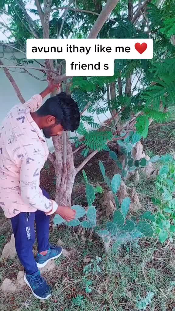 @atchuth ntr