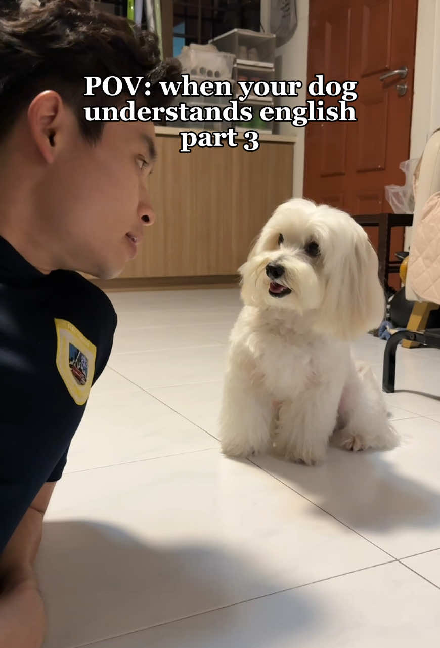 @Shawn&Rambo