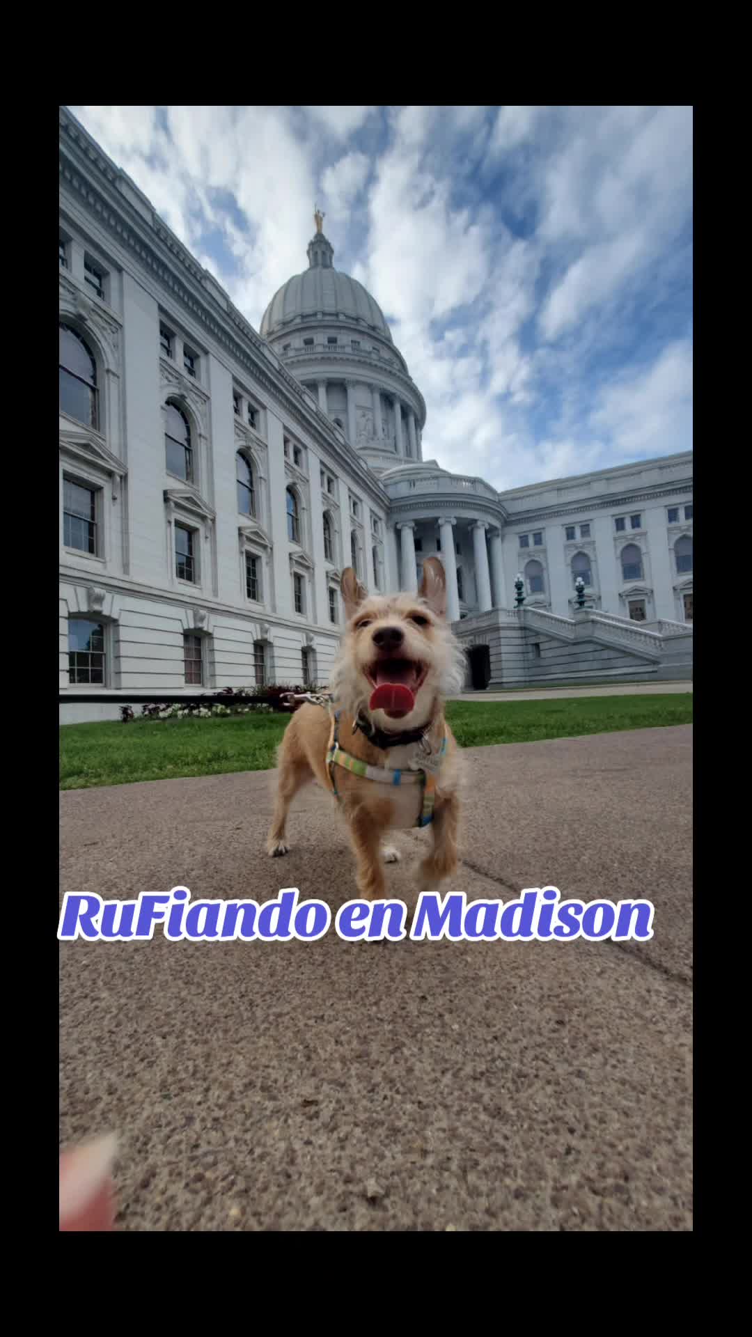 @Rufus007