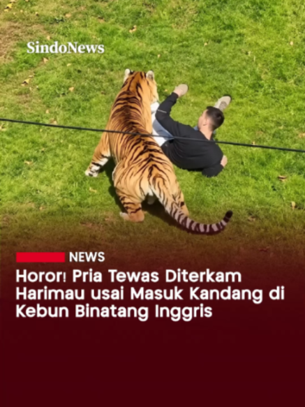@Sindonews