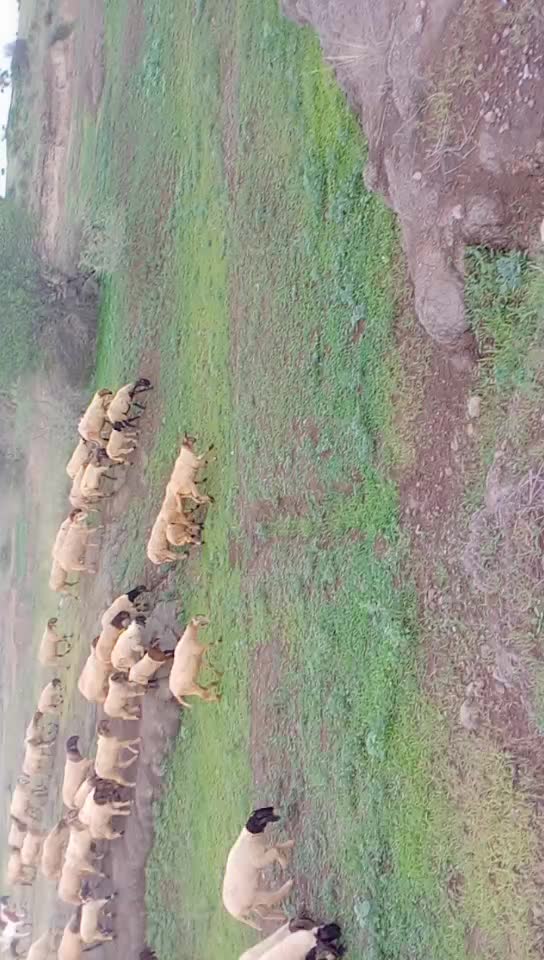@KAMLESH RABARI