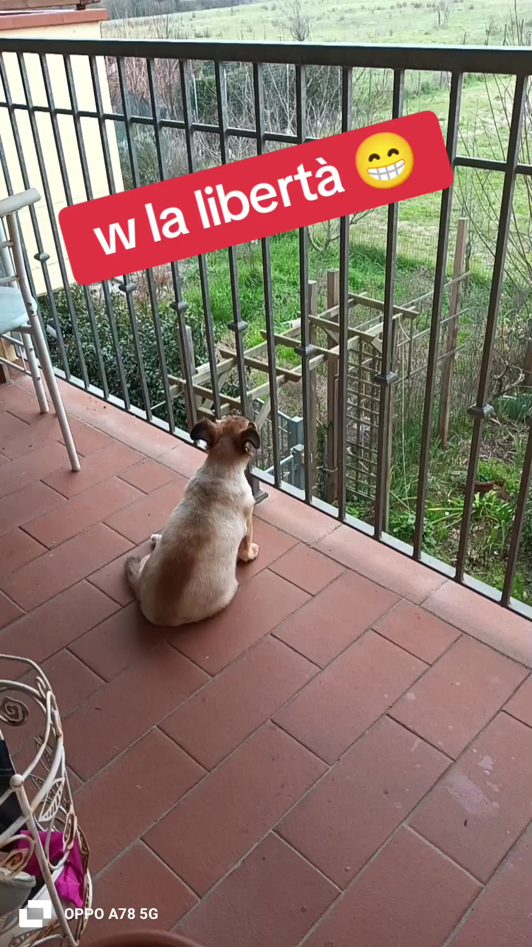 @briciola221dina24