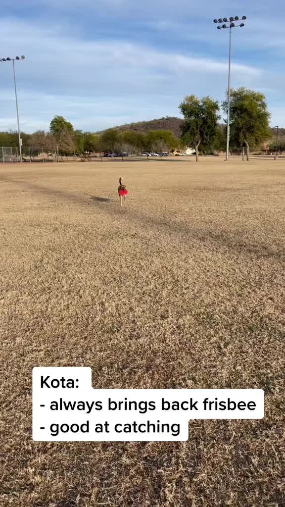 @Marissa | K9 Fitness Coach 🐾