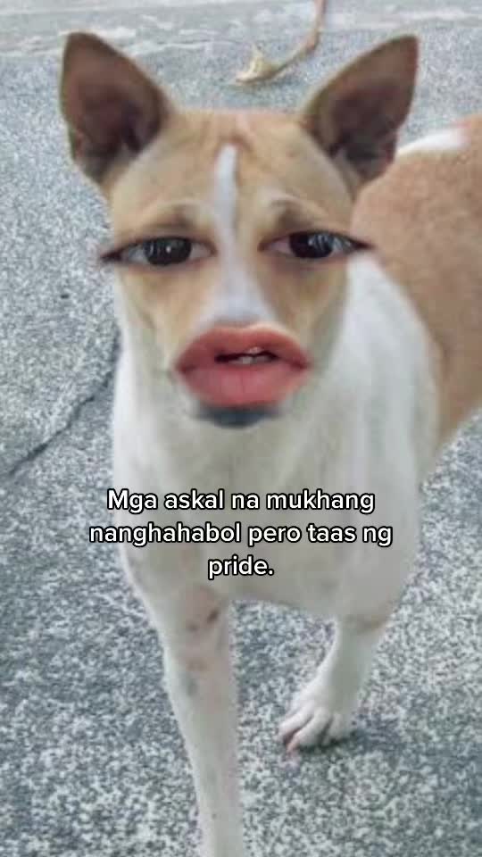 @Rocky