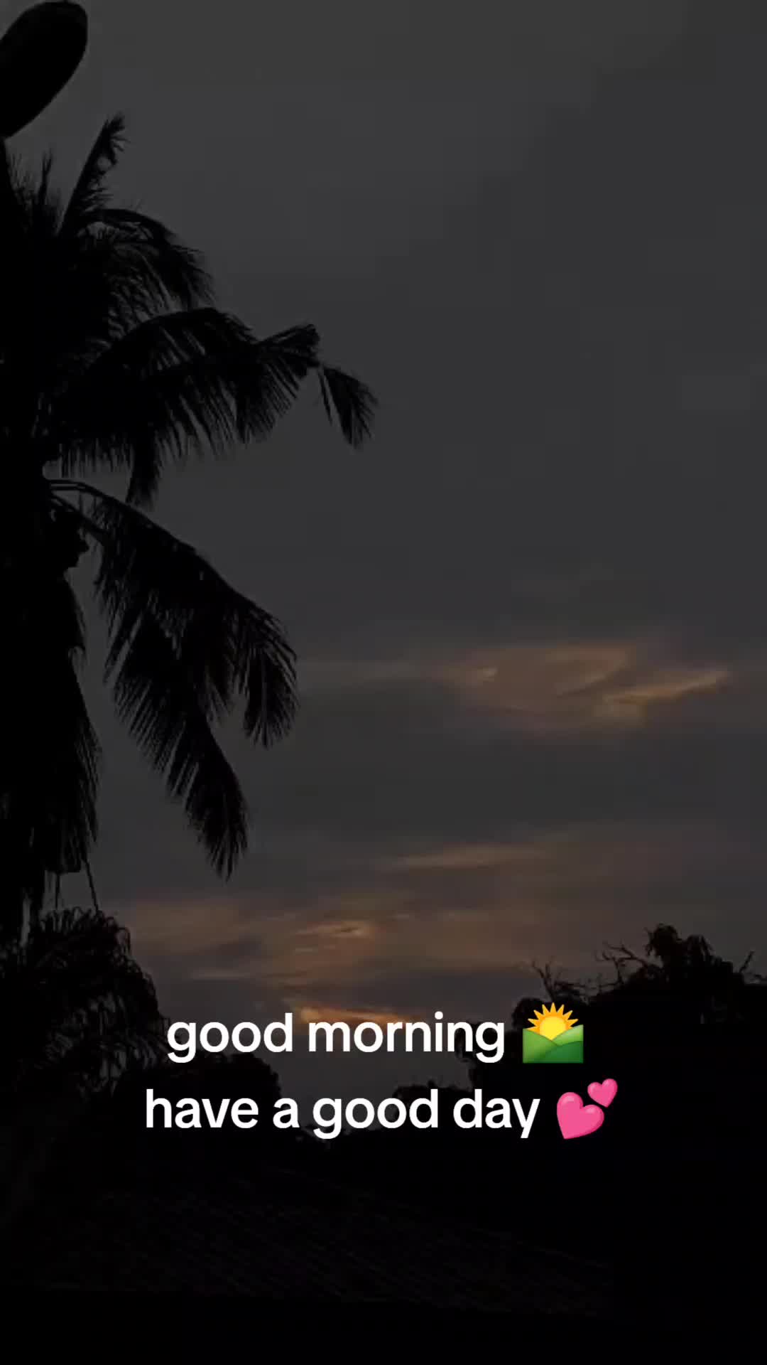 @sree mari paramasivam 1111