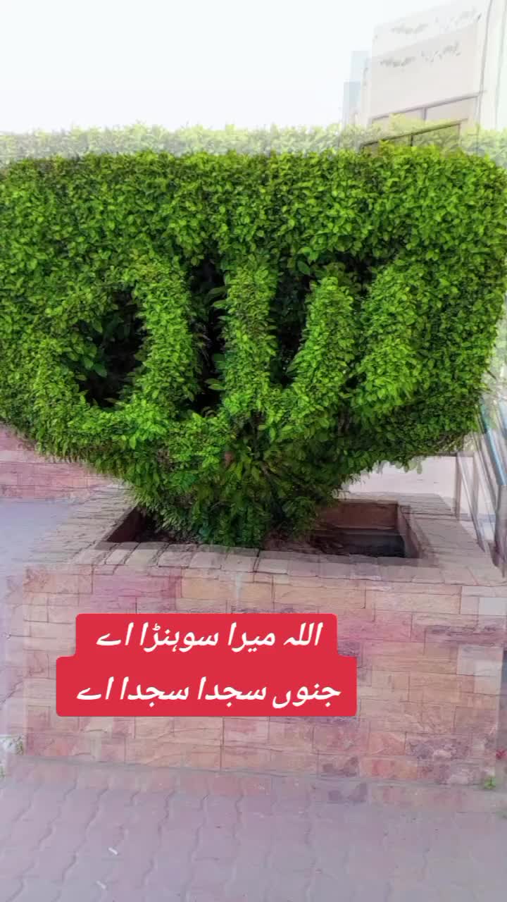@Azhar Malik