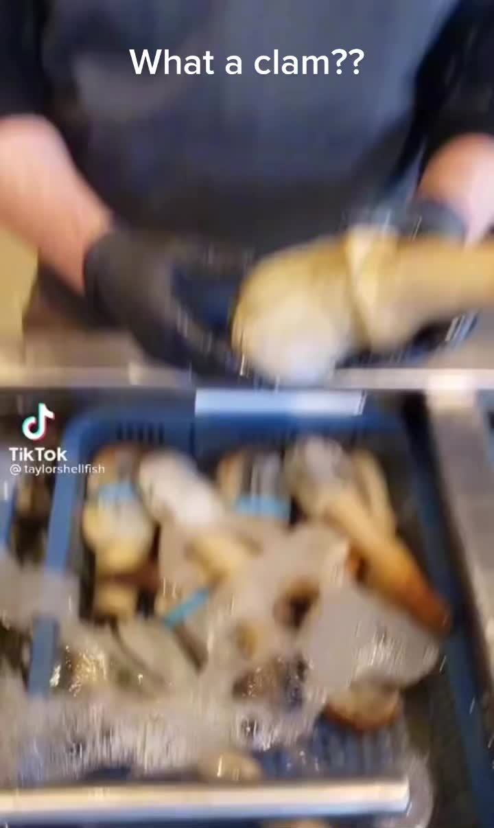 @react.rock