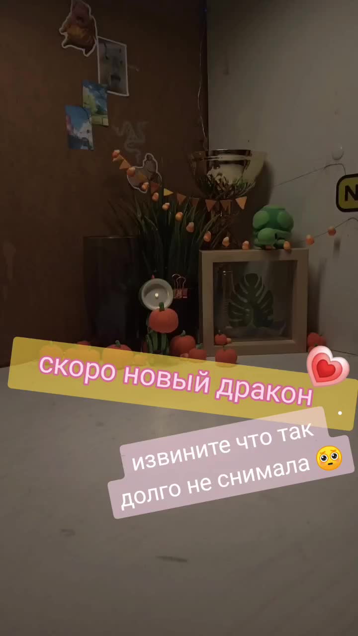 @kotara