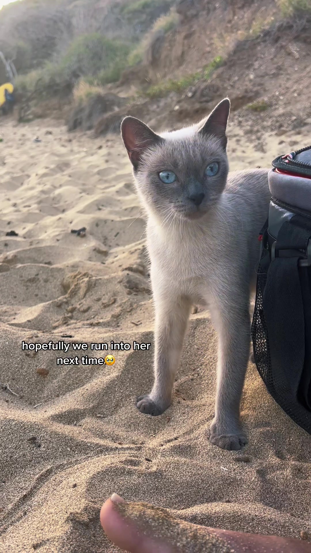 @Ti 🦋⚡️