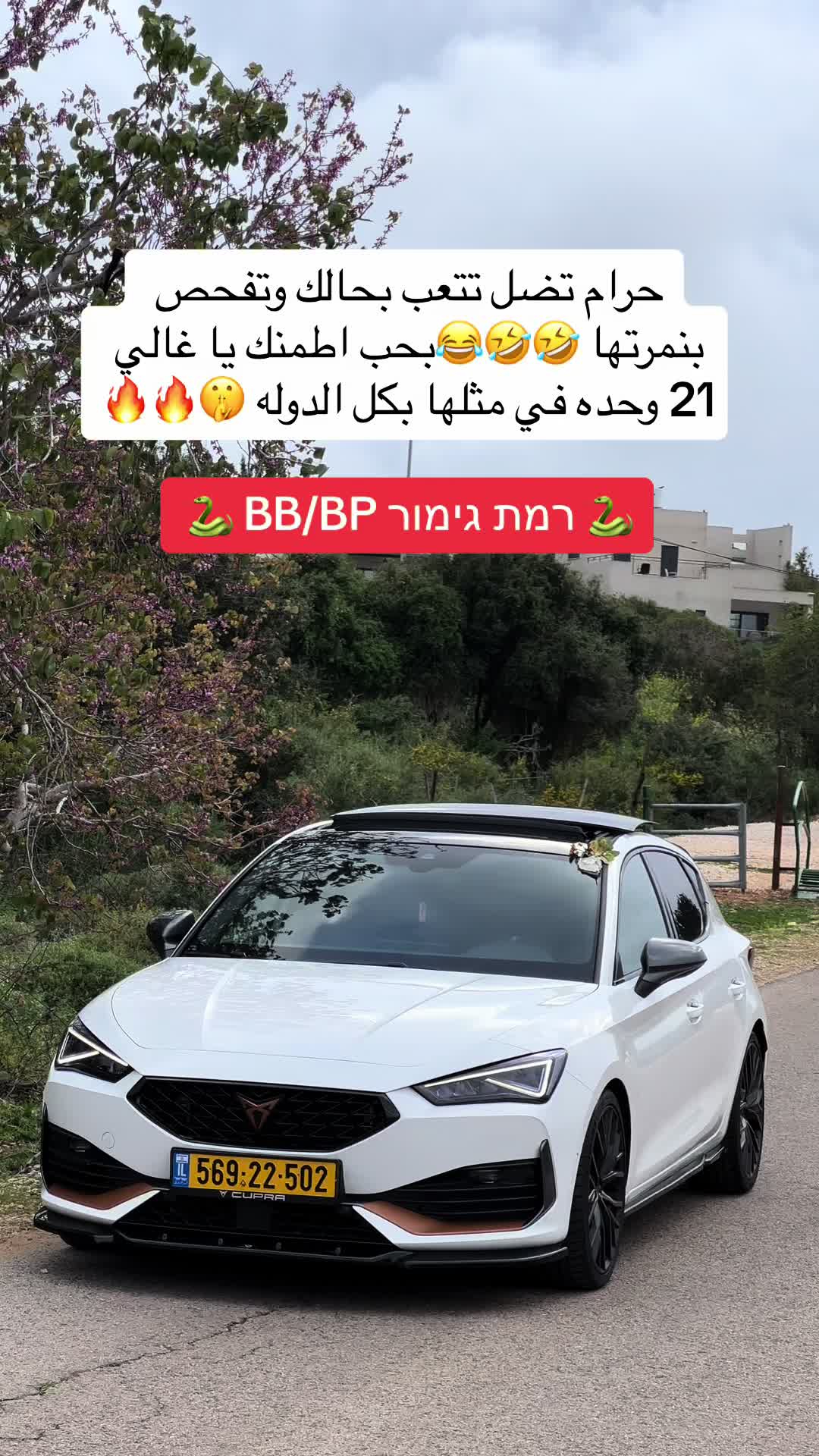 @Dr.ali kheralla