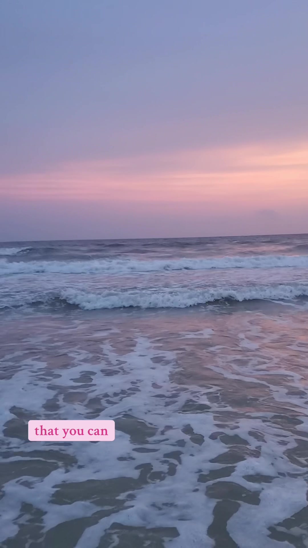 @travelbug