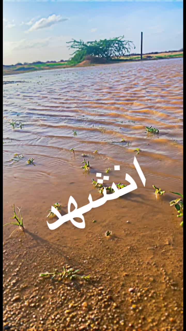 @فيصل🐎